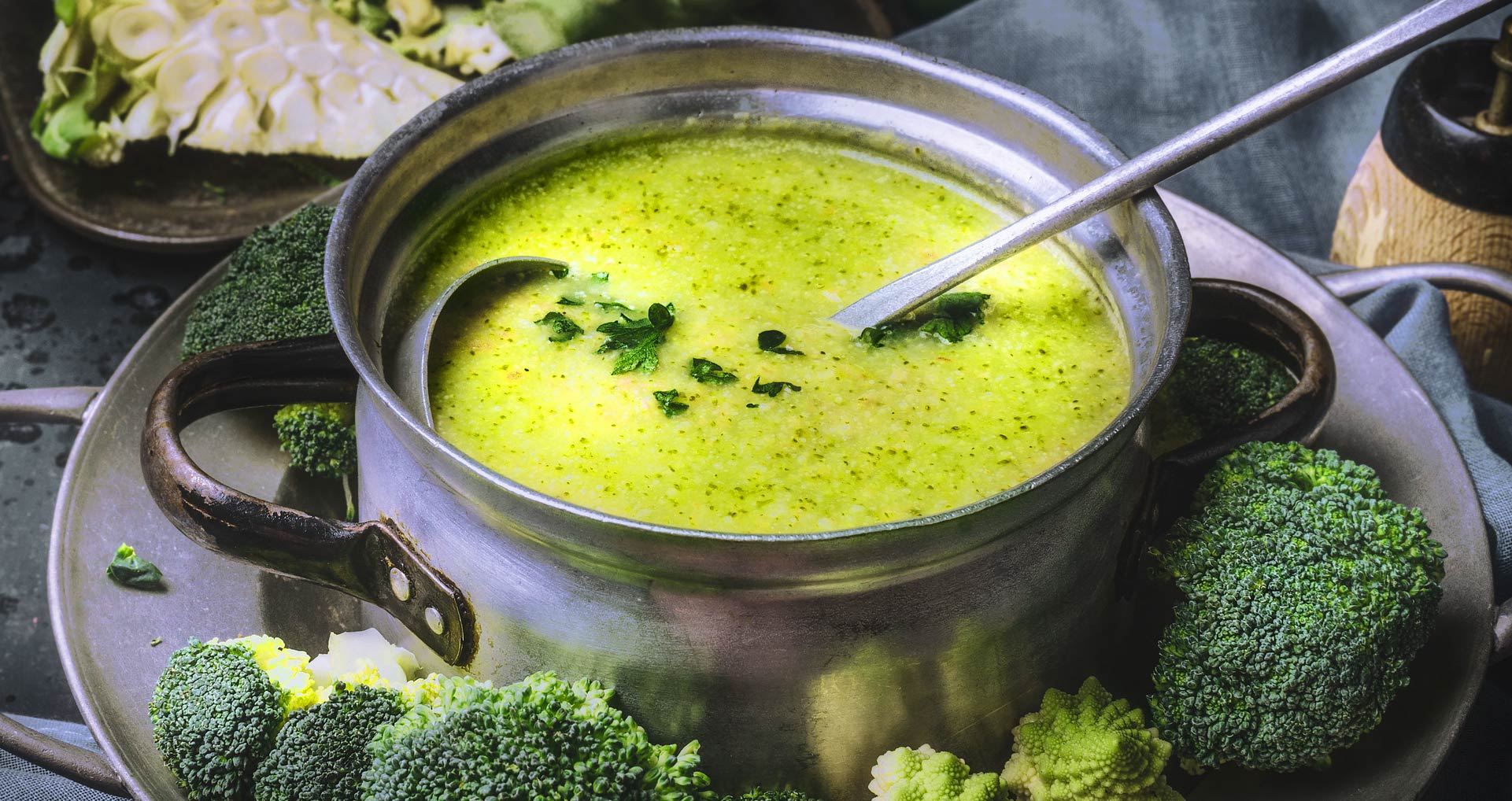 Gourmet soup banner picture
